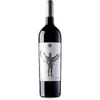 Filare 41 Petit Verdot