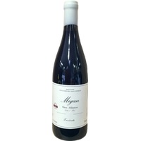 Envinate Migan Tinto