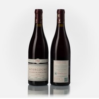 Bourgogne Pinot Noir Cuvée de l´Oncle Paul