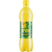 Rauch Sport Isotonic Citrus Power