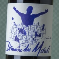 Domaine des Moriers Beaujolais Villages