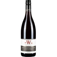 Spätburgunder Bürgstadter Berg trocken - Weingut Josef Walter