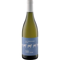 Tradition Pabiro Blanc Côtes de Thongue