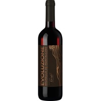 Evoluzione Brunello, Brunello di Montalcino DOCG, Toskana, 2019, Rotwein