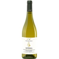 Soteria Verdicchio dei Castelli di Jesi Classico Superiore DOC trocken Bio - Vigna degli Estensi