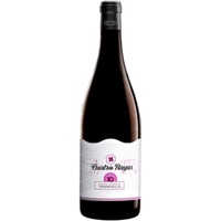 Cuatro Rayas Tempranillo 10 meses Castilla y León VT trocken - Cuatro Rayas