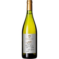 Bianco Professore Toscana IGP trocken Bio - Terreno