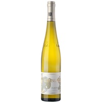 Riesling Ölberg Grosses Gewächs - Kühling-Gillot