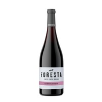 Foresta Claret de les Roques