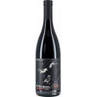 Merlot Altenberg - Pittnauer