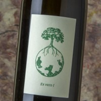Werlitsch Ex Vero I S