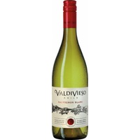 Sauvignon Blanc Valle Central - Chile