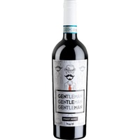 Ferro13 Gentleman Pinot Nero, Oltrepò Pavese DOC, Lombardei, 2021, Rotwein