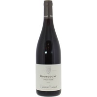 Bourgogne Pinot Noir