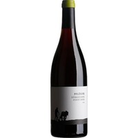 Weingut Pflüger Pinot Noir Tradition