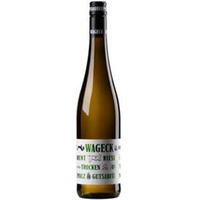 Riesling Fundament trocken