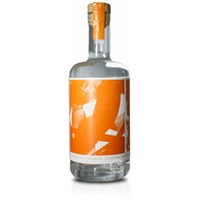 Gin Eva Citrus Gin La Canoneta 45°, 0,7-l-Flasche