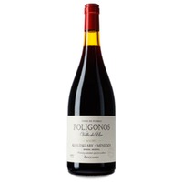 Zuccardi Polígonos Gualtallary Malbec