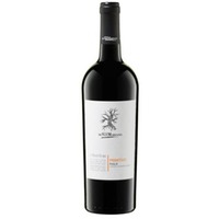 San Marzano I Tratturi Primitivo Puglia IGT | kräftiger Apulien Rotwein