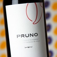 Finca Villacreces Pruno Magnum