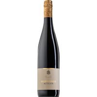 Maindsüden Acolon feinfruchtig halbtrocken - Weingut Meintzinger