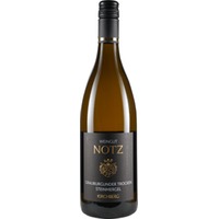 Grauburgunder "Steinmergel" trocken - Weingut Notz