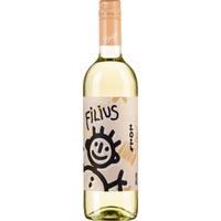 Filius Grüner Veltliner trocken - Hagn