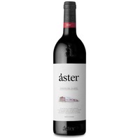 Áster