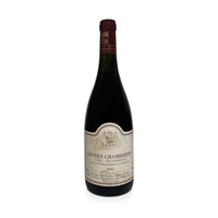 Gevrey Chambertin Les Combottes 1er Cru - Domaine Jean-Philippe Marchand