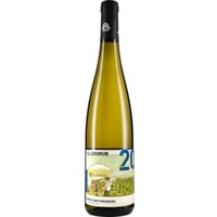 Enkircher ELLERGRUB Riesling Bio - Weingut C.A. Immich-Batterieberg
