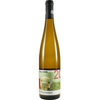 Trabener ZOLLTURM Riesling feinherb - Weingut C.A. Immich-Batterieberg