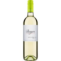 Grüner Veltliner Classic trocken - Weingut Bayer-Erbhof