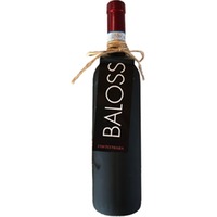 Baloss Nebbiolo Colline Novaresi DOC trocken - Cantina Fontechiara