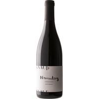 Spätburgunder Strümpfelbach Nonnenberg BIO - Weingut Knauß