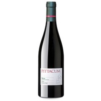 Pittacum Magnum
