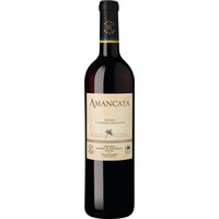 Amancaya, Mendoza, Mendoza, 2021, Rotwein