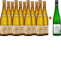 Falstaff-Sieger Paket BIO - Wine by S.Pratsch