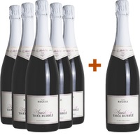 5+1 Paket Thee Bubblé - Weingut Regele