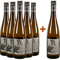 5+1 Paket Grüner Veltliner Steinberg trocken - Weingut Michael Bauer