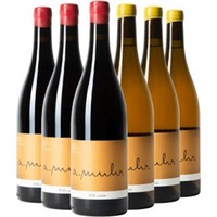PUR Probierpaket - Weingut Andreas Muhr