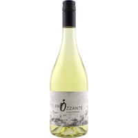 FRÖZZANTE trocken - Weingut Österreicher