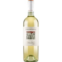 Perantonie Chardonnay Veronese IGP trocken Bio - Società Agricola Fasoli Gino