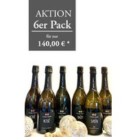 Franciacorta Contadi Castaldi 6er Pack