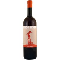 Pinot Grigio DOC Orange Wine