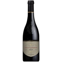 Gran Passione di Bertoldi Rosso Veneto IGT