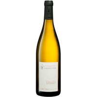 Domaine Charpentier Saint Vincent Blanc Reuilly AC