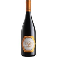 Lucale Primitivo Appassimento Puglia IGP