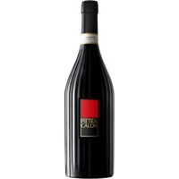 Feudi di San Gregorio: Fiano di Avellino DOCG Pietracalda