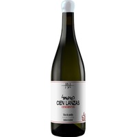 Cien Lanzas Cenicientos Madrid DO trocken - 4 Monos Viticultores