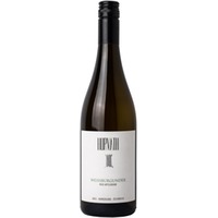 Weißburgunder Ried Apfelgrund - Weingut HORVATH